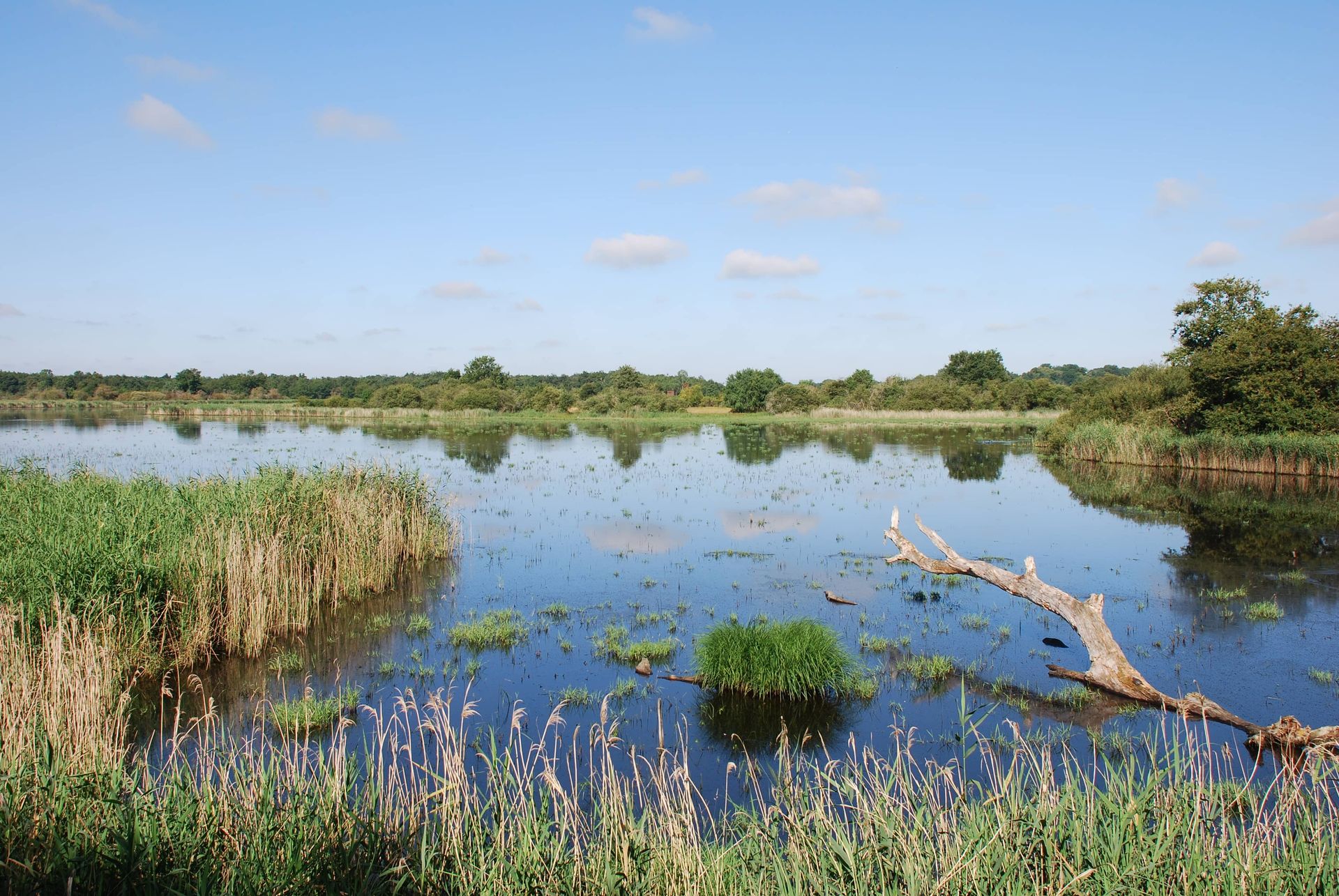 Brenne Natural Regional Park